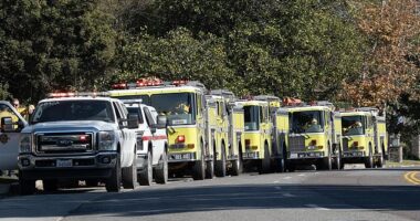 A chilling documentary on the catastrophic Palisades wildfires exposes the city's startling lack of preparedness, alleging that on January 8, the second day of the blaze, firefighters sat idle on the streets far from the flames as thousands of homes burned to the ground