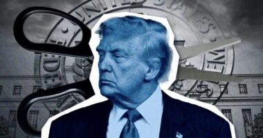 2025 was one hell of a year. Consumers should expect more ‘silent pain’ in 2026