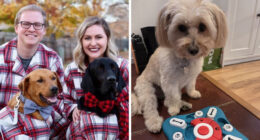 27 Gifts To Spoil Your Pet With, Because Let’s Be Honest, They’re The Favorite Child