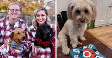 27 Gifts To Spoil Your Pet With, Because Let’s Be Honest, They’re The Favorite Child