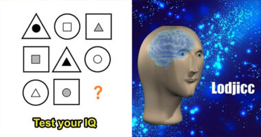 27 IQ Questions For The Smartest Minds – Prove You Can Solve Them