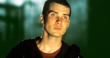 28 Years Later III Confirmed With Cillian Murphy After Positive Bone Temple Reactions
