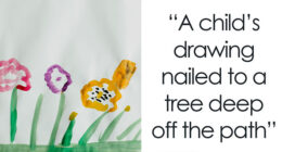 34 People Who Couldn’t Sleep For Days After Spending Time In The Woods