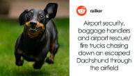 42 Crazy Airport Stories That Are Hard To Believe