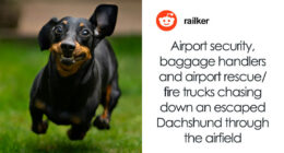 42 Crazy Airport Stories That Are Hard To Believe