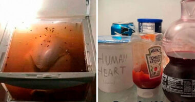 46 ‘Dude Fridges’ So Wild They Should Come With A Warning Label (New Pics)
