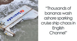 48 Local Newspaper Titles That Prove The World Is Going Mad