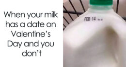 63 Hilarious Food Memes To Laugh At While You Wait For Dinner To Be Served