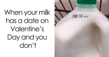63 Hilarious Food Memes To Laugh At While You Wait For Dinner To Be Served