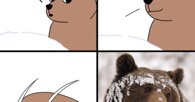 71 Animal Comics That Our Readers Loved The Most