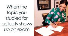 72 College Memes For Students Running On Hope And Energy Drinks