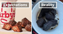 76 Outrageous Meals That Looked Nothing Like The Menu Photos (New Pics)