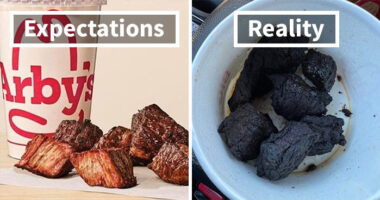 76 Outrageous Meals That Looked Nothing Like The Menu Photos (New Pics)
