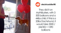 78 Times People Got Asked To Solve The Weirdest Math Problems And Delivered (New Pics)