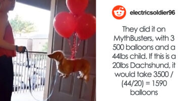 78 Times People Got Asked To Solve The Weirdest Math Problems And Delivered (New Pics)