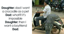 79 Funny Memes To Help You Disassociate In A Fun Way