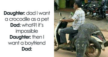 79 Funny Memes To Help You Disassociate In A Fun Way