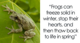 80 Truly Random Facts That Are Still Better Than The News