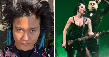 “A Real Danger”: Man Jailed For Attacking Ariana Grande Gets In Trouble At Lady Gaga’s Concert