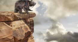 A sell signal has been triggered at Bank of America. What typically happens next.