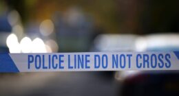 A1 Cambridgeshire crash: Toddler dies after car crashes into broken down vehicle days before Christmas