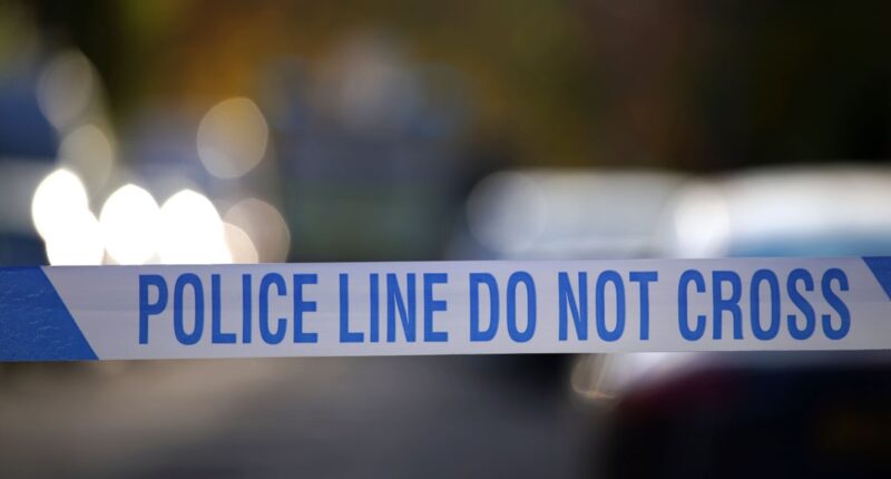 A1 Cambridgeshire crash: Toddler dies after car crashes into broken down vehicle days before Christmas