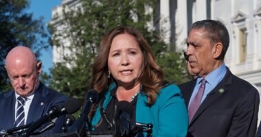 AZ Dem Rep Digs Hole Deeper With New Video, More Comments About Her Interaction With ICE During Raid – RedState