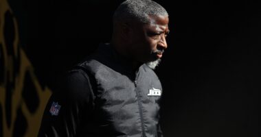 Aaron Glenn Responds to Stripping Steve Wilks of Play-Calling Q