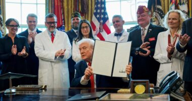 After Trump’s move to reclassify cannabis, here’s what Wall Street is thinking