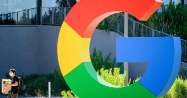 Alphabet and Nvidia alone make up a third of the S&P 500’s gains this year, in a sign of Big Tech’s dominance