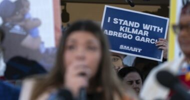 Another Obama Judge Steps in to Save Illegal ‘Maryland Man’ As Human Smuggling Trial Is Axed – RedState