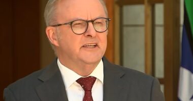 Anthony Albanese defends decision to not launch a Royal Commission into the Bondi Beach terrorist attack