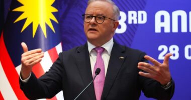 Antisemitic Australia Attack Sparks New, Useless Firearm Surrender Scheme – RedState