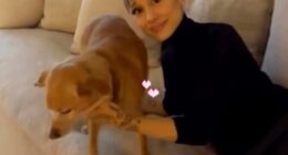 Ariana Grande and Ethan Slater continue to put split rumors to rest as they shared the same Instagram Story posts with their personal photos on Boxing Day