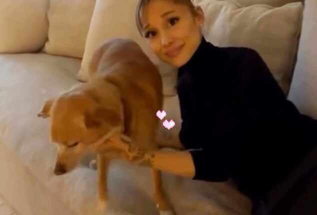 Ariana Grande and Ethan Slater continue to put split rumors to rest as they shared the same Instagram Story posts with their personal photos on Boxing Day