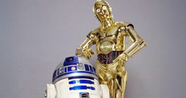 As a Star Wars Fan, Here's How I'd Rank Every Movie in the Franchise