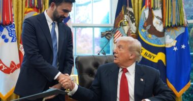 At least one in 10 Mamdani voters were also Trump voters, study finds