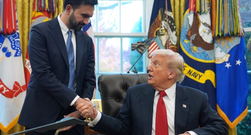 At least one in 10 Mamdani voters were also Trump voters, study finds