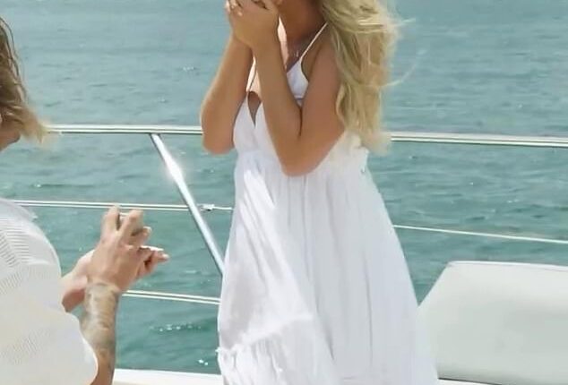 Nicho Hynes and Piper Wallis have announced their engagement after he popped the question on Sydney Harbour on Saturday (pictured)