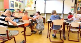 Axing Teachers' 'Professional' Label Helps Everyone But Colleges