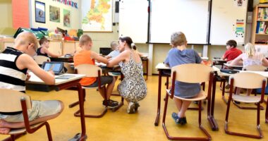 Axing Teachers' 'Professional' Label Helps Everyone But Colleges