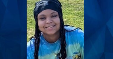 BOLO: Police Seek Tips on NC Teen Girl Missing Over 7 Months