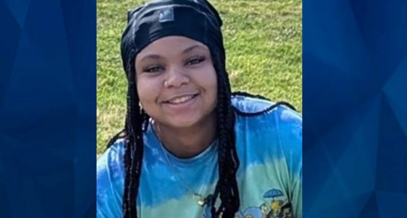 BOLO: Police Seek Tips on NC Teen Girl Missing Over 7 Months