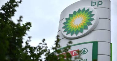 BP CEO quits after less than two years. A former Exxon exec who ran Australia’s largest oil company will take over.