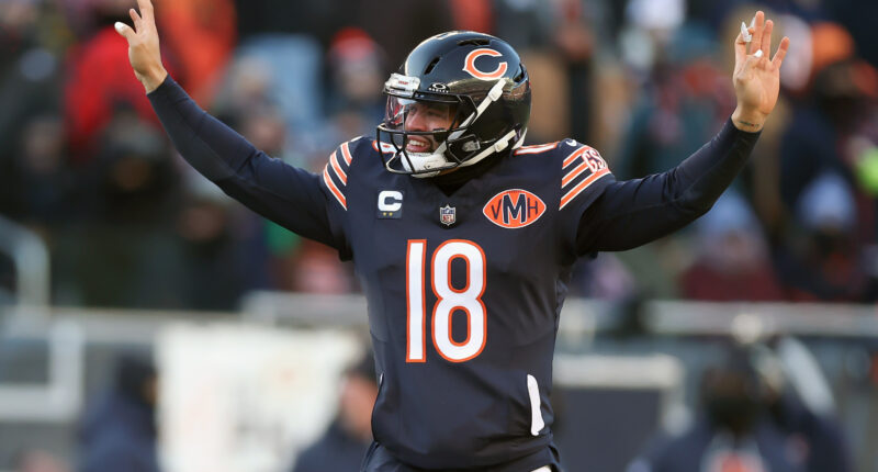 Bears Fans Hilariously Dominate Pro Bowl Voting For Their Team
