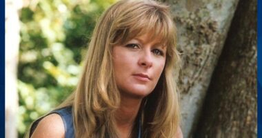 Beautiful Single Mom Vanishes Without a Trace in 1999: FOUND 2025! Where Was Kimberly Langwell?