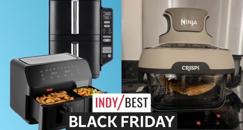 Best air fryer Cyber Monday deals 2025 from Ninja, Tefal and more