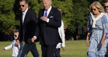 Biden Family Christmas Photo Has People Talking Because of How It Depicts Joe – RedState