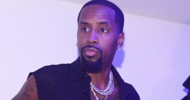 Social Media Drops Mixed Reactions After Safaree Shared Message About Black People Gossiping & Tearing Other Black People Down