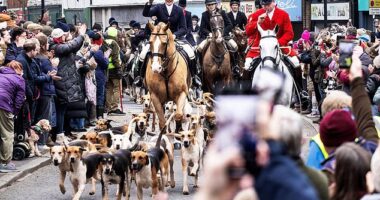 Hunting supporters have defied opposition from Chris Packham and the local council to go ahead with their centuries-old Boxing Day meet